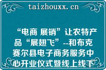 “电商 展销”让农特产品“展翅飞”--和布克赛尔县电子商务服务中心开业仪式暨线上线下农特产品展销会启动