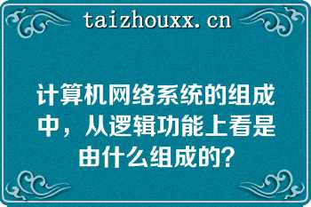 计算机网络系统的组成中，从逻辑功能上看是由什么组成的？