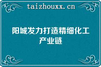 阳城发力打造精细化工产业链