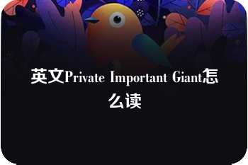 英文Private Important Giant怎么读