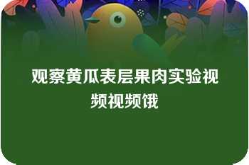 观察黄瓜表层果肉实验视频视频饿