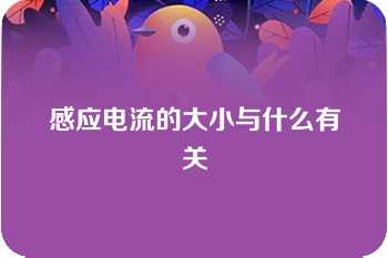 感应电流的大小与什么有关