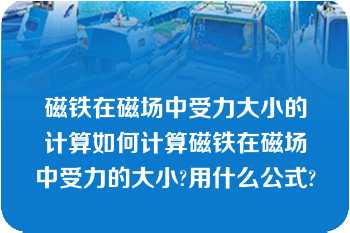 磁铁在磁场中受力大小的计算如何计算磁铁在磁场中受力的大小?用什么公式?