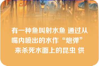 有一种鱼叫射水鱼 通过从嘴内喷出的水作“炮弹” 来杀死水面上的昆虫 供