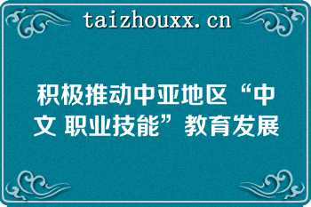 积极推动中亚地区“中文 职业技能”教育发展