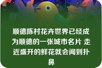 顺德陈村花卉世界已经成为顺德的一张城市名片 走近盛开的鲜花就会闻到扑鼻