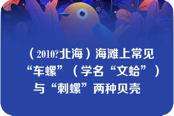 （2010?北海）海滩上常见“车螺”（学名“文蛤”）与“刺螺”两种贝壳