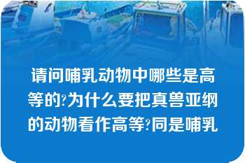 请问哺乳动物中哪些是高等的?为什么要把真兽亚纲的动物看作高等?同是哺乳