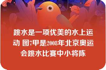 跳水是一项优美的水上运动 图7甲是2008年北京奥运会跳水比赛中小将陈