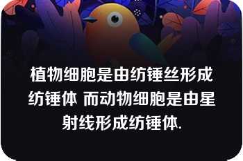 植物细胞是由纺锤丝形成纺锤体 而动物细胞是由星射线形成纺锤体.