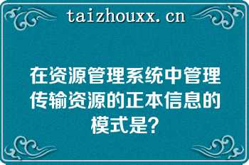 在资源管理系统中管理传输资源的正本信息的模式是？