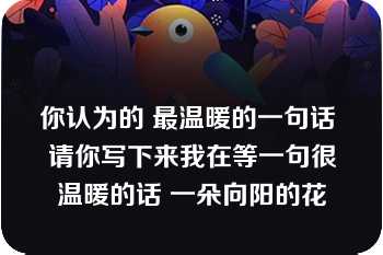 你认为的 最温暖的一句话 请你写下来我在等一句很温暖的话 一朵向阳的花