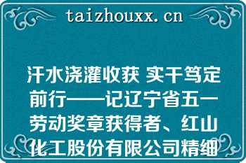 汗水浇灌收获 实干笃定前行——记辽宁省五一劳动奖章获得者、红山化工股份有限公司精细化工车间主任于来海