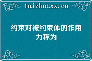 约束对被约束体的作用力称为