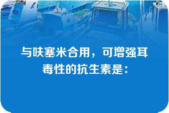 与呋塞米合用，可增强耳毒性的抗生素是：