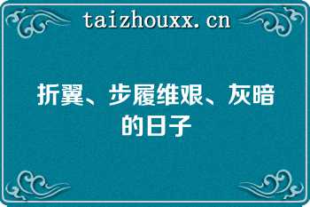 折翼、步履维艰、灰暗的日子