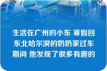 生活在广州的小东 寒假回东北哈尔溟的奶奶家过车期间 他发现了很多有趣的