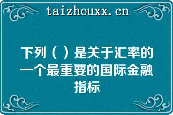 下列（）是关于汇率的一个最重要的国际金融指标