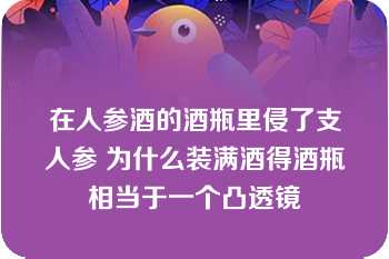 在人参酒的酒瓶里侵了支人参 为什么装满酒得酒瓶相当于一个凸透镜