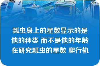 瓢虫身上的星数显示的是他的种类 而不是他的年龄在研究瓢虫的星数 爬行轨