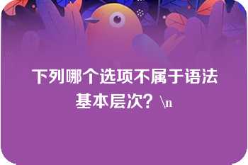 下列哪个选项不属于语法基本层次？\n