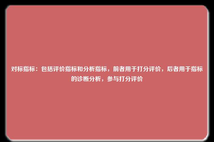 对标指标：包括评价指标和分析指标，前者用于打分评价，后者用于指标的诊断分析，参与打分评价