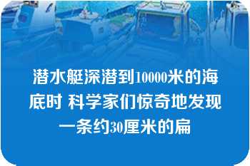 潜水艇深潜到10000米的海底时 科学家们惊奇地发现一条约30厘米的扁