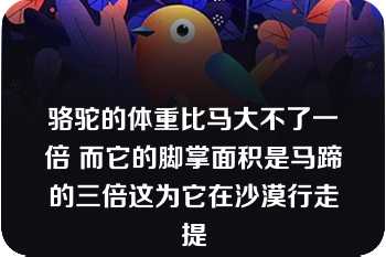 骆驼的体重比马大不了一倍 而它的脚掌面积是马蹄的三倍这为它在沙漠行走提