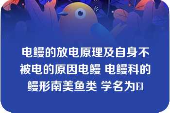 电鳗的放电原理及自身不被电的原因电鳗 电鳗科的鳗形南美鱼类 学名为El