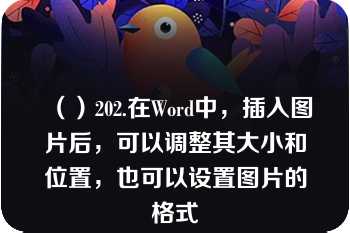 （）202.在Word中，插入图片后，可以调整其大小和位置，也可以设置图片的格式