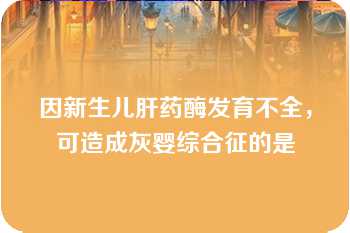 因新生儿肝药酶发育不全，可造成灰婴综合征的是