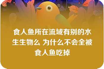 食人鱼所在流域有别的水生生物么 为什么不会全被食人鱼吃掉