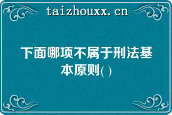 下面哪项不属于刑法基本原则( )