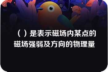 （）是表示磁场内某点的磁场强弱及方向的物理量