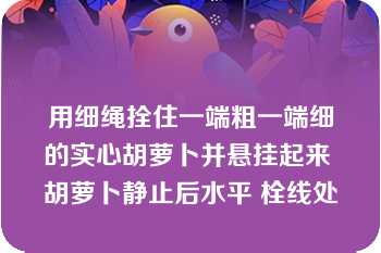 用细绳拴住一端粗一端细的实心胡萝卜并悬挂起来 胡萝卜静止后水平 栓线处