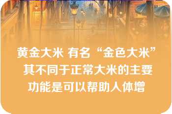 黄金大米 有名“金色大米” 其不同于正常大米的主要功能是可以帮助人体增